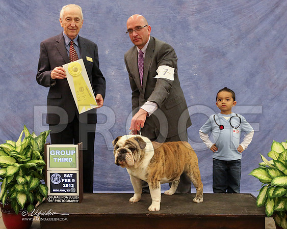 bulldog-9970-LR