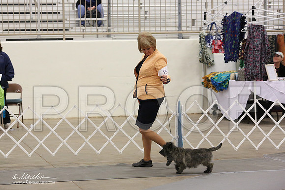 Cairn-4521-LR