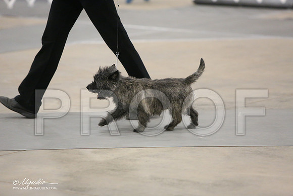 Cairn-9309-LR