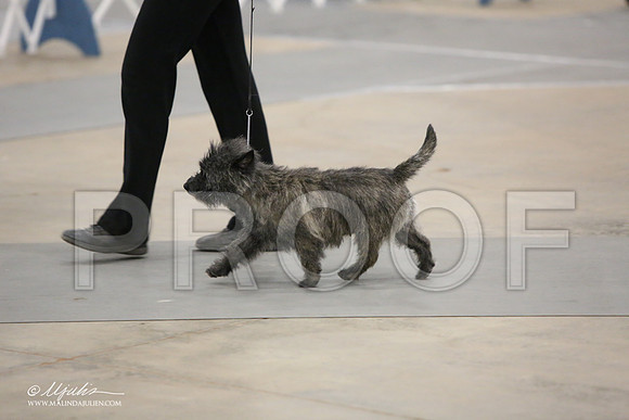Cairn-9311-LR