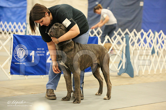 Cane-1756-LR
