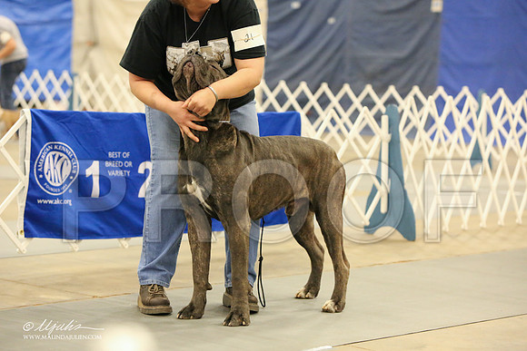Cane-1757-LR