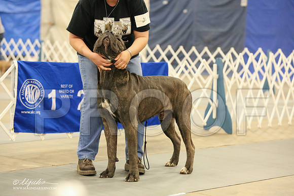 Cane-1758-LR