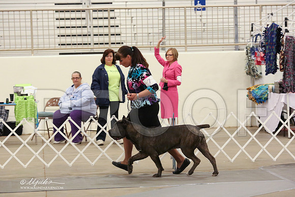 Cane-2679-LR