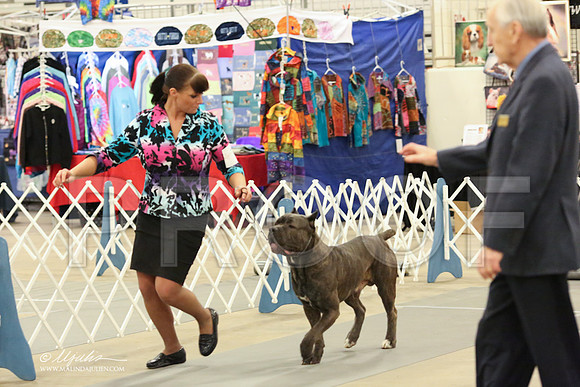 Cane-2690-LR