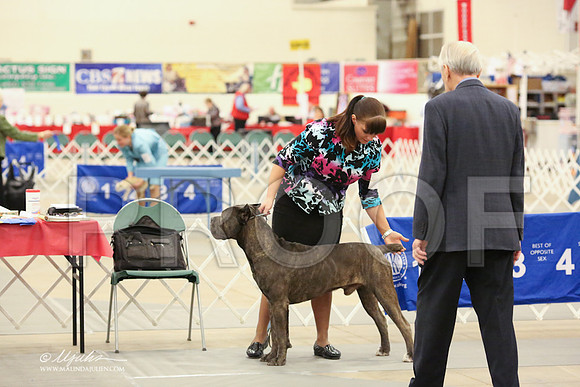 Cane-2692-LR