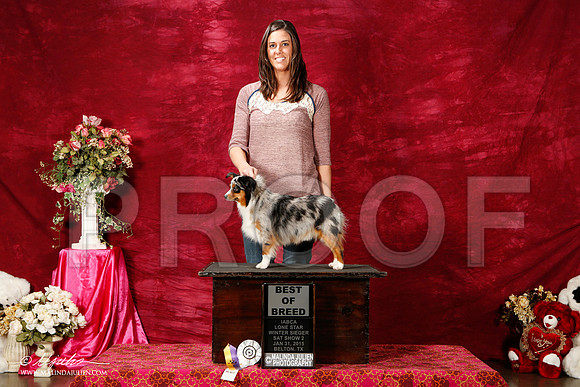 _ST_2637-2-BeltonJan2015IABCA-HR3