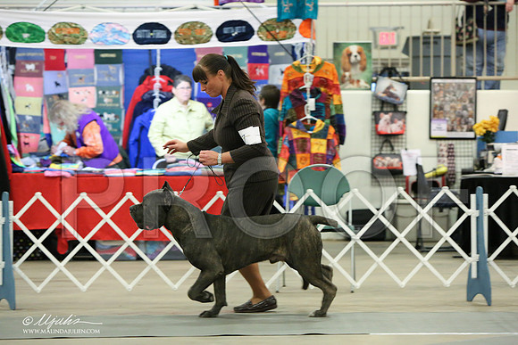 Cane-7097-LR