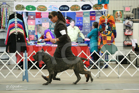 Cane-7098-LR