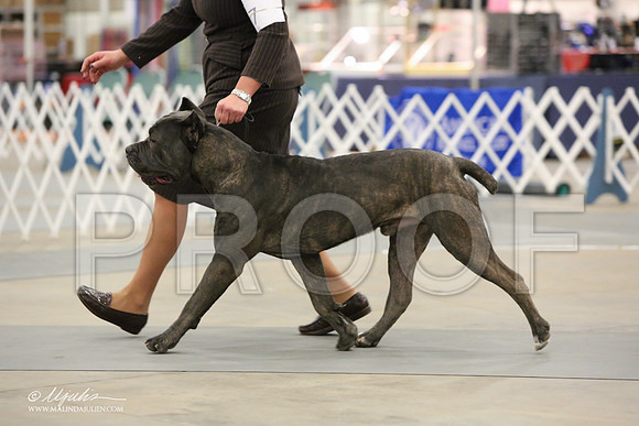 Cane-7109-LR