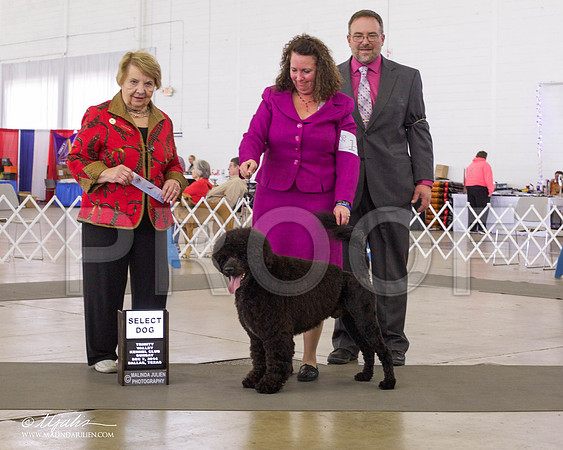 _RH_8035DallasDec2014-HR3