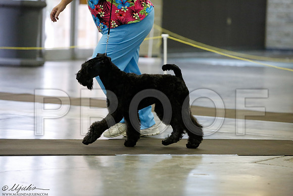 _J3L2082-BeltSep2014-HR