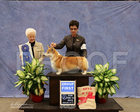 CorgPW-0658-LR