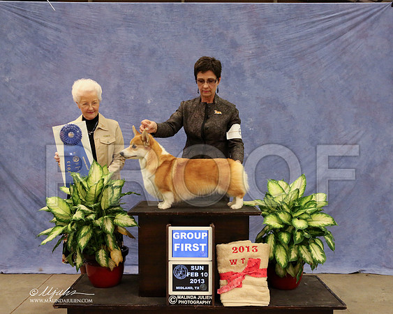 CorgPW-0659-LR