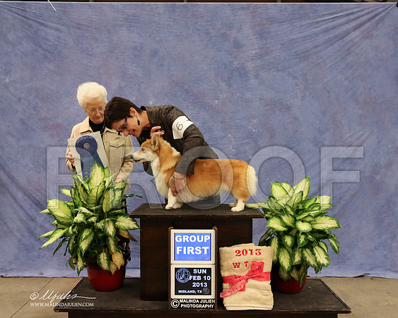 CorgPW-0653-LR