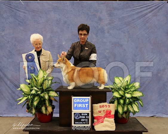 CorgPW-0656-LR