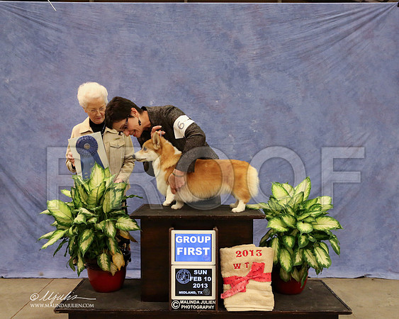 CorgPW-0652-LR