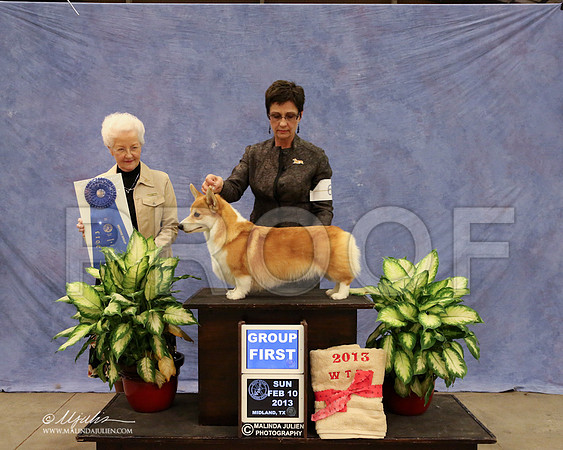 CorgPW-0657-LR