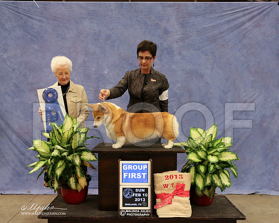 CorgPW-0660-LR