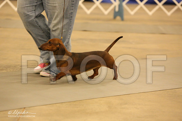 Dach-0775-LR