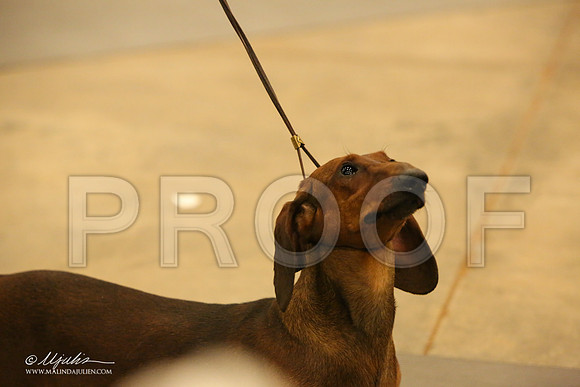 Dach-1082-LR