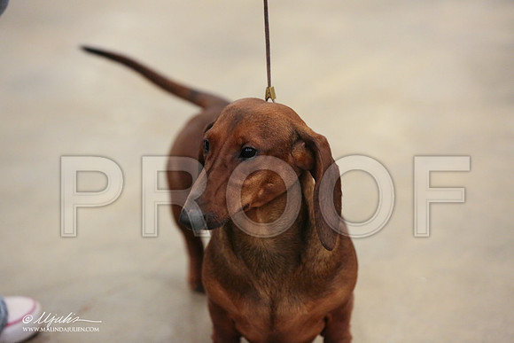 Dach-0726-LR