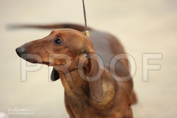 Dach-0738-LR