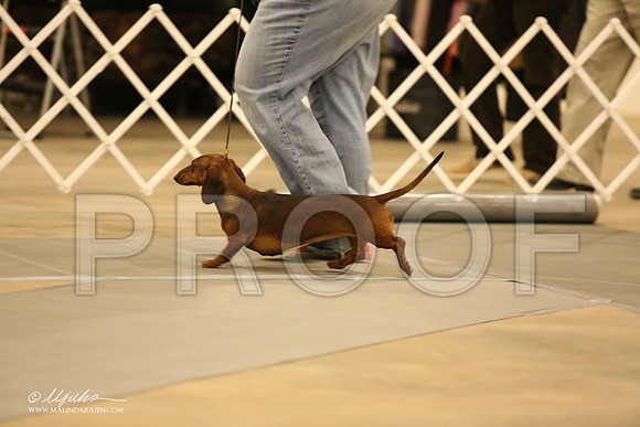 Dach-0745-LR