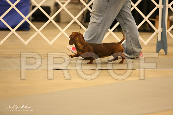 Dach-0750-LR