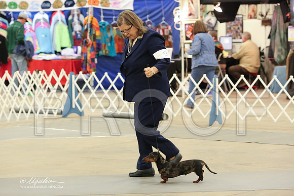 DachS-3665-LR