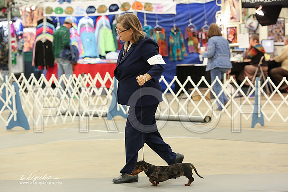 DachS-3667-LR