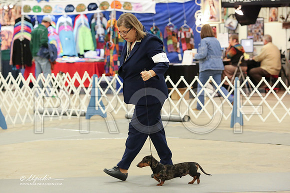 DachS-3666-LR