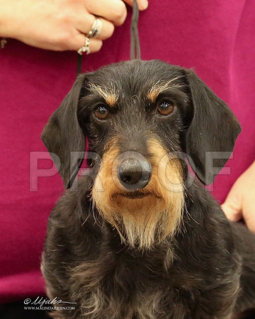 DachW-9781-LR