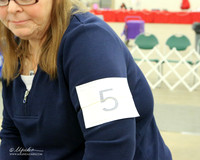 Dachshund Wirehaired #5 Sun BOB Rhonda Hale Cathy Smith Judge L Telfair LR Midland Feb 2013