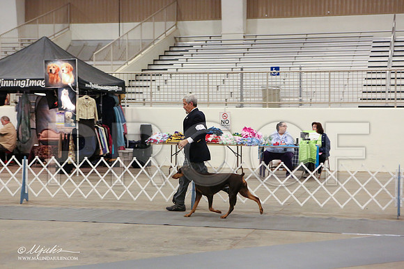 dobe-1796-LR
