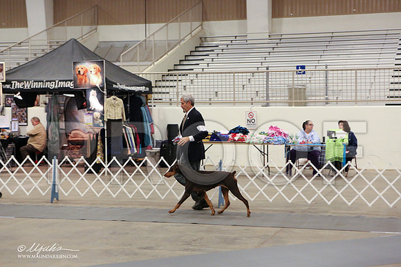 dobe-1797-LR