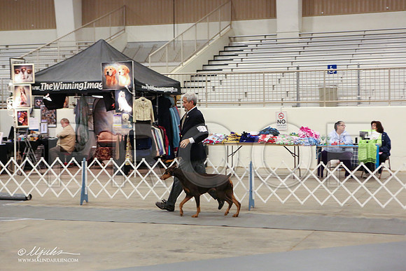dobe-1798-LR