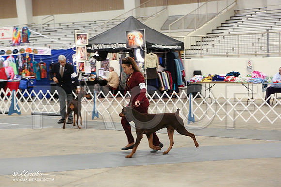 dobe-1800-LR
