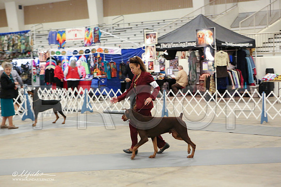 dobe-1802-LR