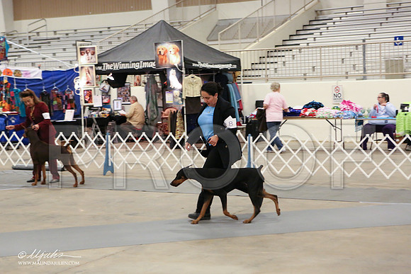 dobe-1808-LR