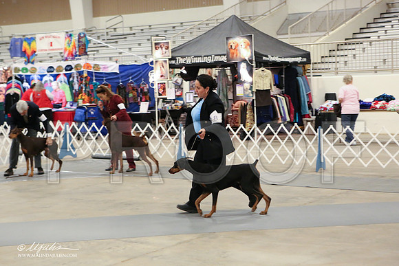 dobe-1810-LR
