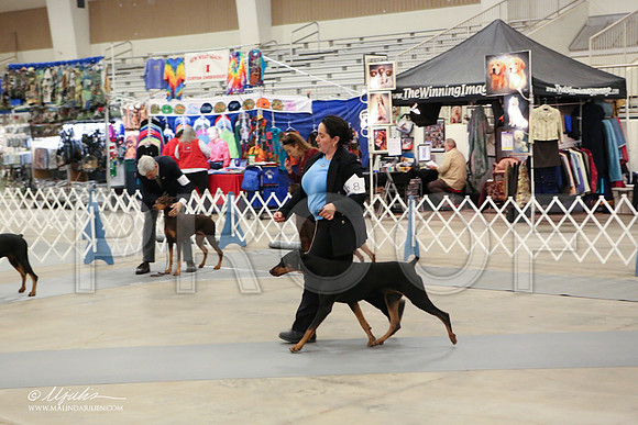 dobe-1812-LR