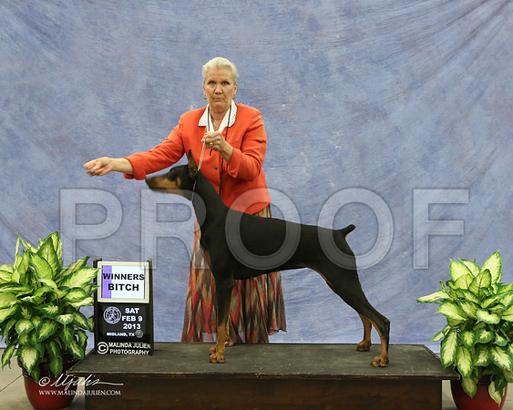 Dobe-9493-LR