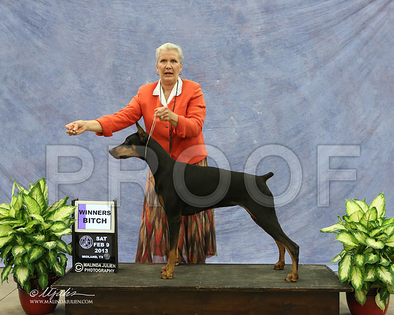 Dobe-9494-LR