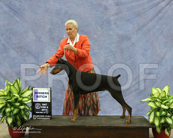 Dobe-9498-LR