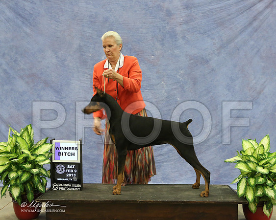 Dobe-9497-LR