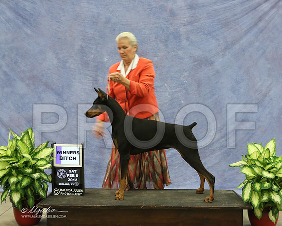 Dobe-9499-LR