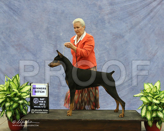 Dobe-9500-LR