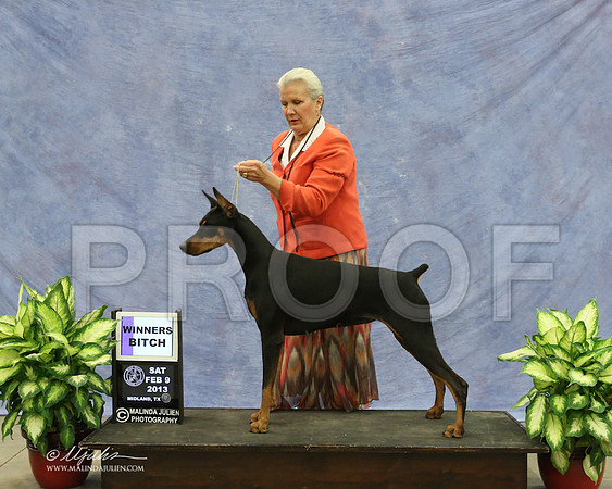 Dobe-9501-LR