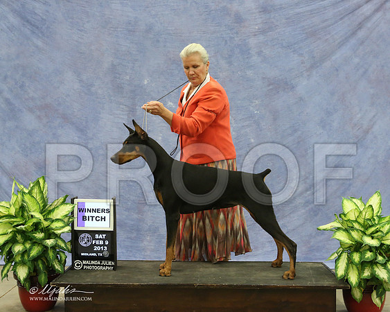 Dobe-9503-LR